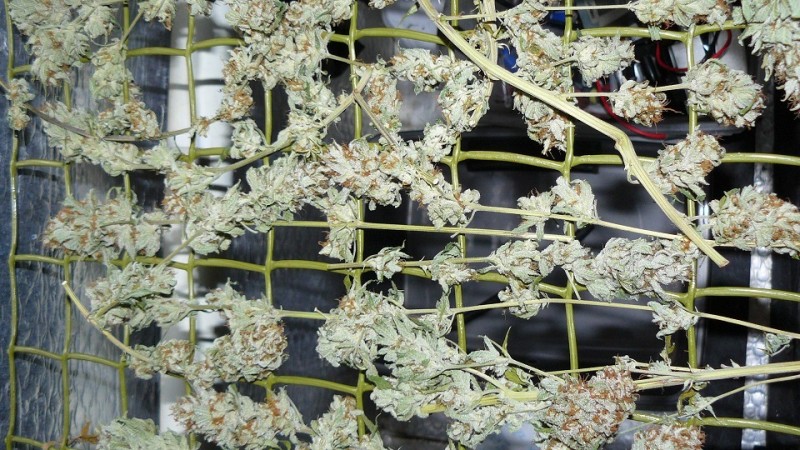 drobes 20 10 22 031