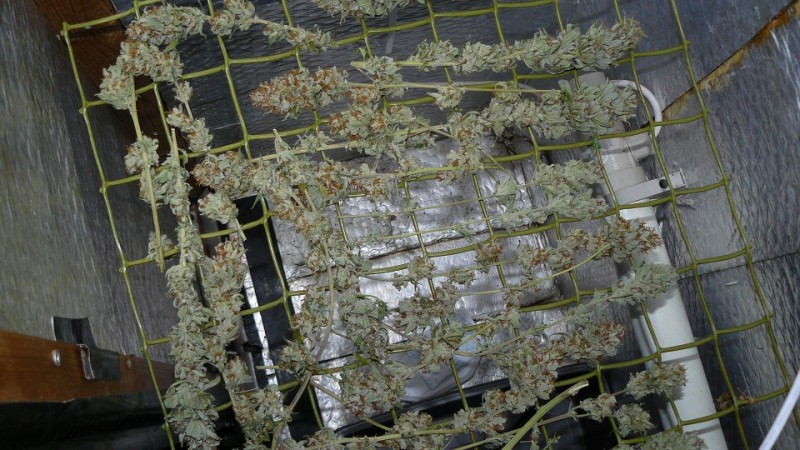 drobes 20 10 22 032