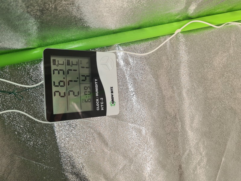 16663735201764360404538491312462