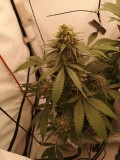 IMG_20221021_215722