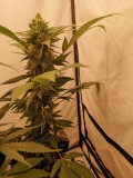 IMG_20221021_215748