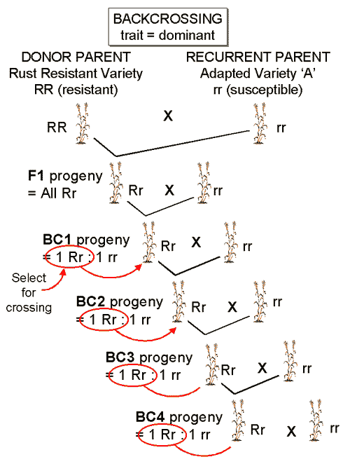 7E829E56-04D4-40F8-9245-00EF4F1018F3