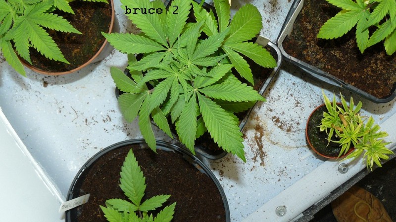 drobes 24 10 22 030
