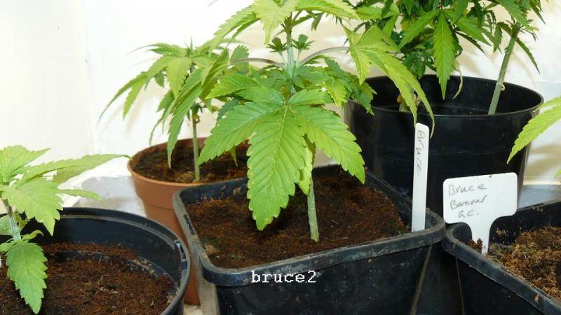 drobes 24 10 22 031