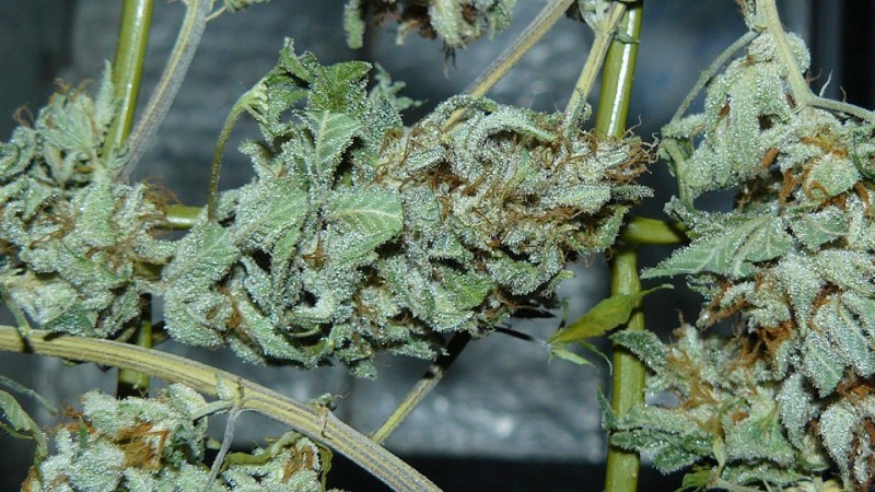 drobes 24 10 22 047