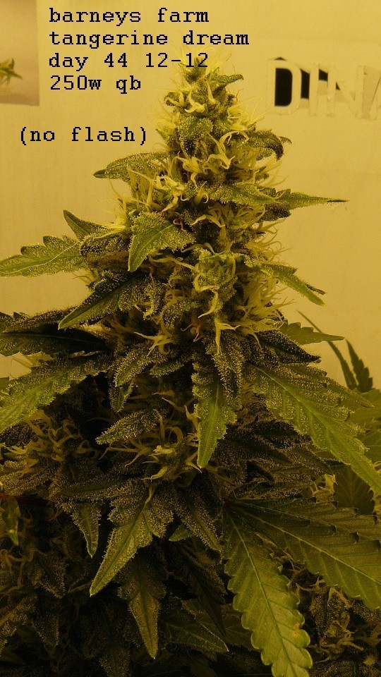 drobes 31 10 22 001