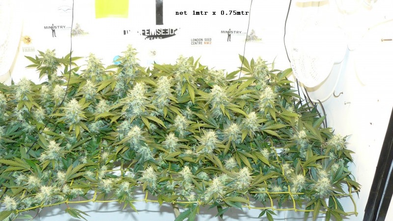 drobes 31 10 22 009