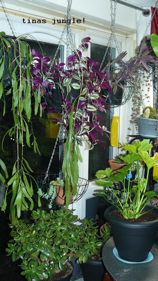 drobes 31 10 22 034