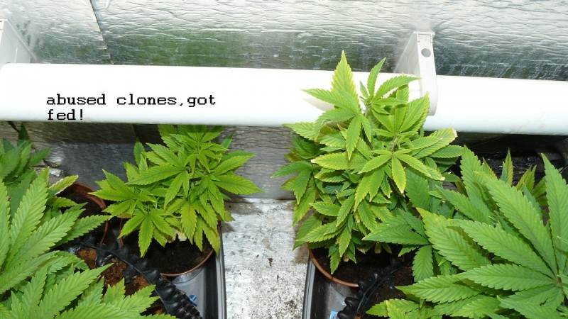 drobes 06 11 22 005