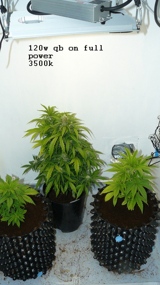 drobes 06 11 22 018