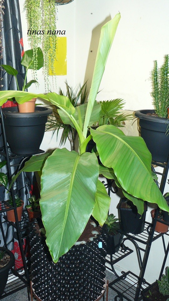 drobes 06 11 22 048