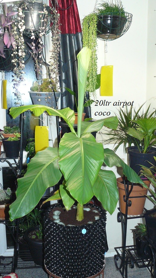 drobes 06 11 22 049