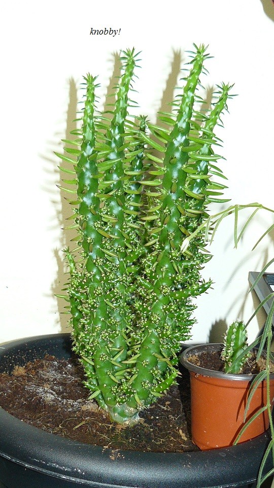 drobes 06 11 22 051