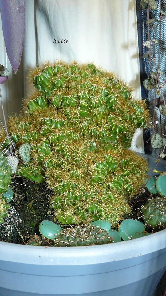 drobes 06 11 22 052