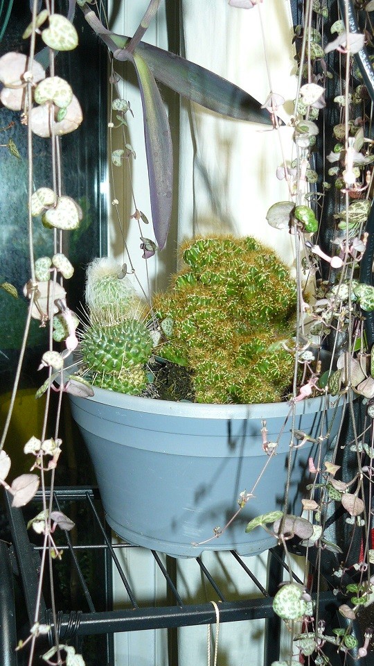 drobes 06 11 22 053