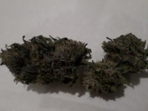 spritzdarkbud