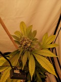 IMG_20221108_193631