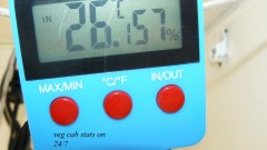 drobes and plants 10 11 22 019