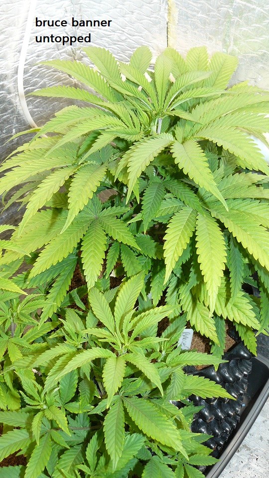 P1300712