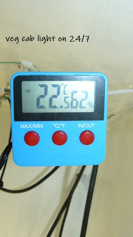 P1300751