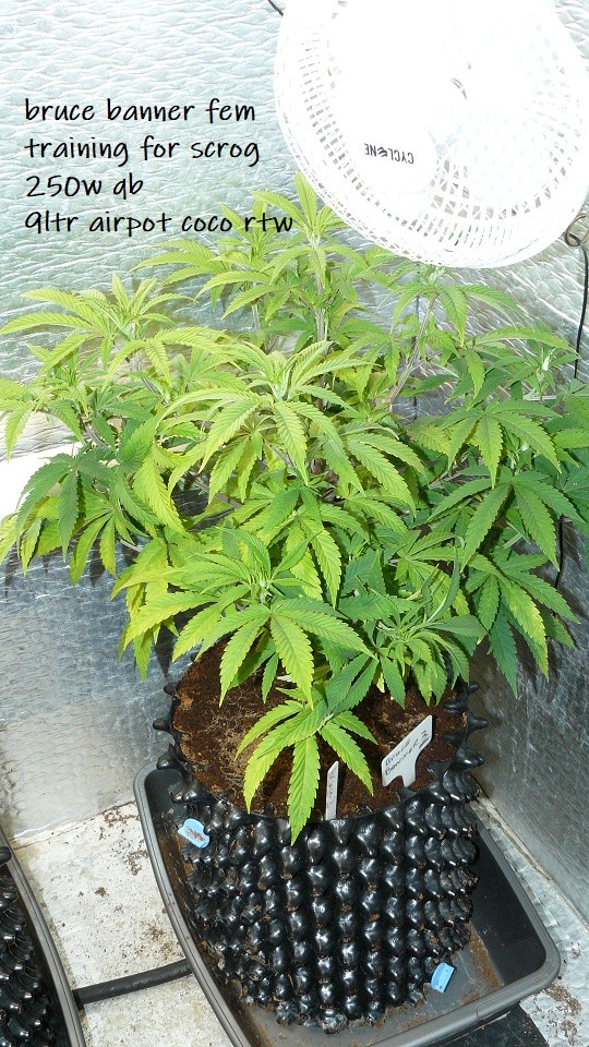 P1300752