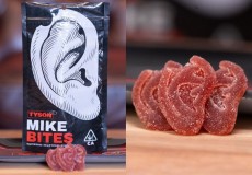 mikebites