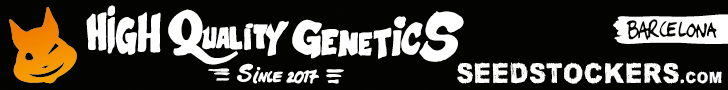 banner 2