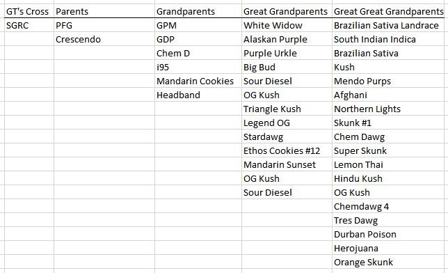 Sour_Grape_family_tree