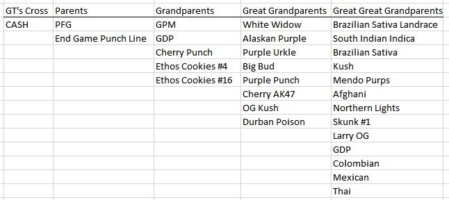 Cherry_Atomic_family_tree