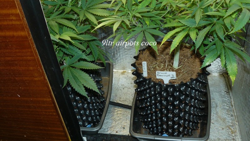 drobes 01 12 22 027