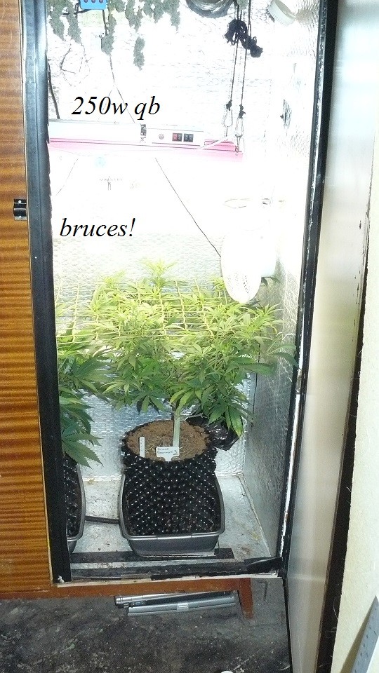drobes 01 12 22 033