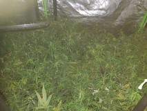 IMG-20190605-WA0015