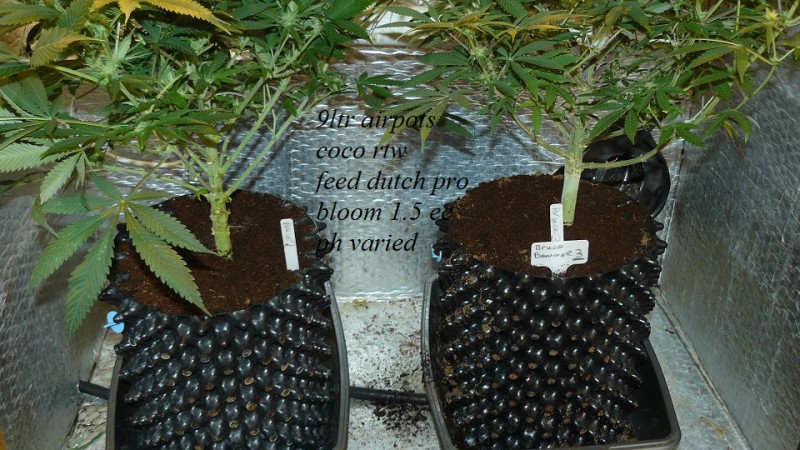 drobes 14 12 22 006