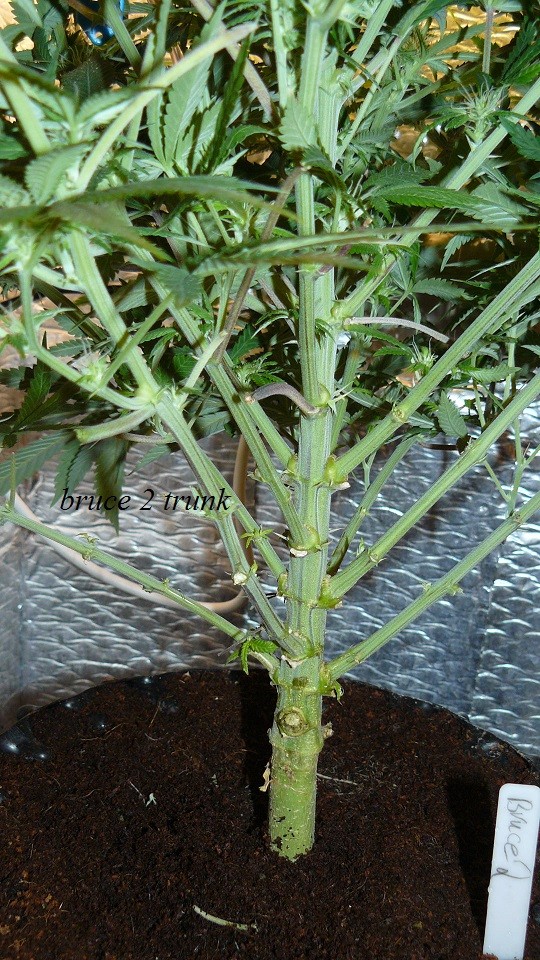drobes 14 12 22 009