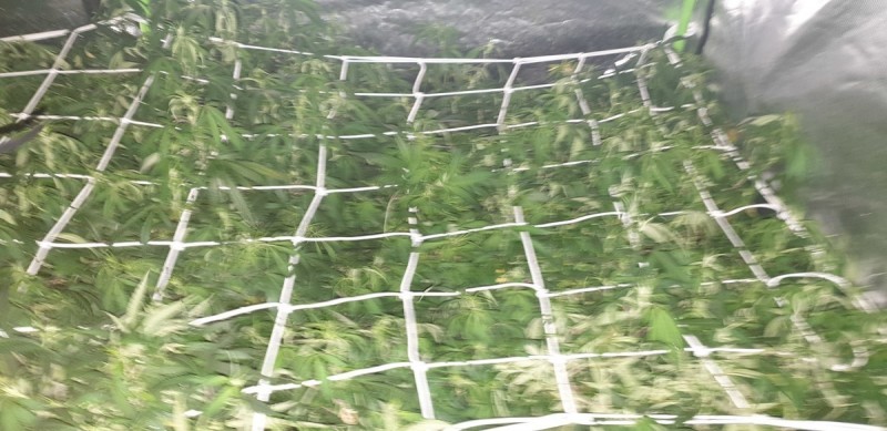 20190613_133601