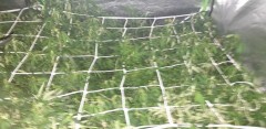 20190613_133601