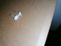 IMG_20221220_210506