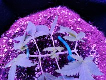 IMG_20221120_095847
