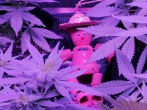 IMG_20221227_193646