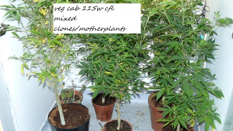 drobes 27 12 22 026