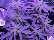 IMG_20221228_114947