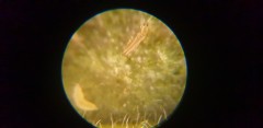 20190618_185304