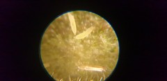 20190618_185320