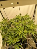 IMG_20221228_194639