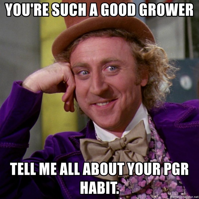 youre-such-a-good-grower-tell-me-all-about-your-pgr-habit