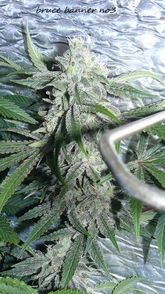 drobes 010122 045
