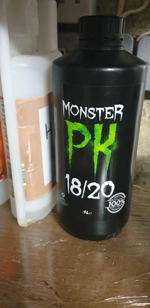 20190620_131650