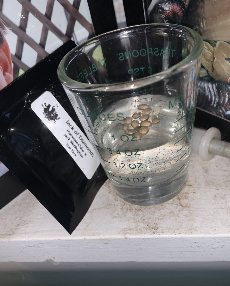 CE74F20A-C881-4E94-AC4E-CF56DF3A5944