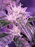 IMG_20230111_211244