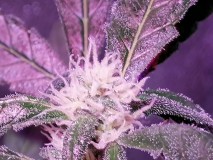 IMG_20230110_194157